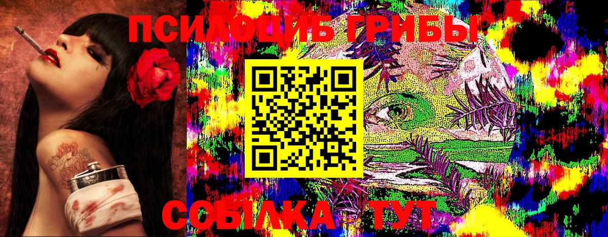 Галлюциногенные грибы Psilocybine cubensis Заволжье