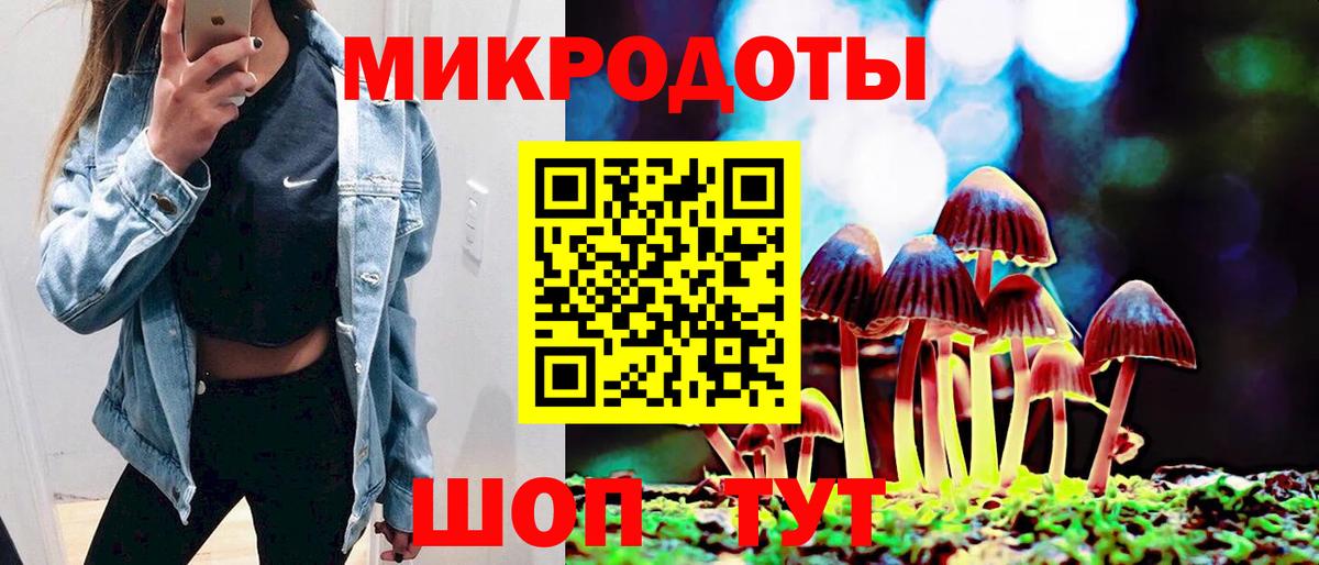 Галлюциногенные грибы Psilocybine cubensis  Вход с VPN  Заволжье 